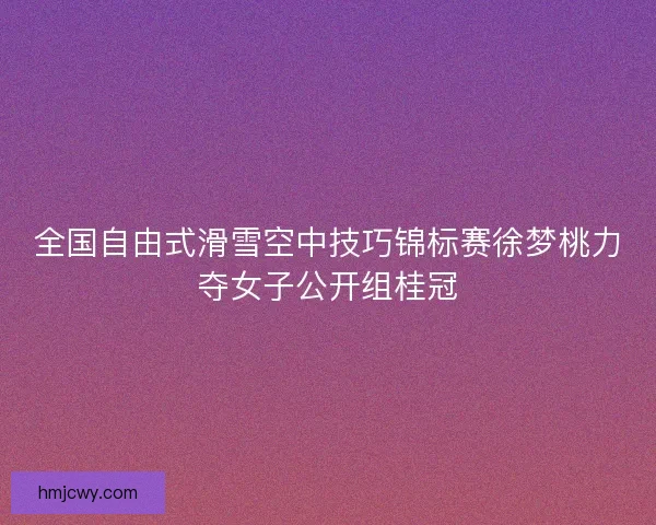 全国自由式滑雪空中技巧锦标赛徐梦桃力夺女子公开组桂冠
