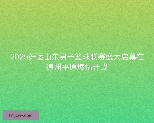 2025好运山东男子篮球联赛盛大启幕在德州平原燃情开战